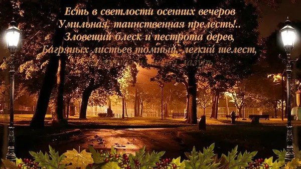 Спокойной ночи осенний город
