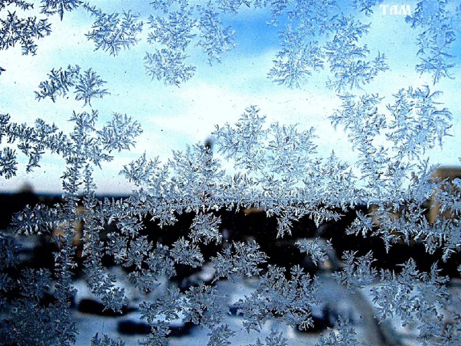 Красивые падающие снежинки. Зимние узоры. Зимние узоры на стекле. Морозные узоры. Снежные узоры.