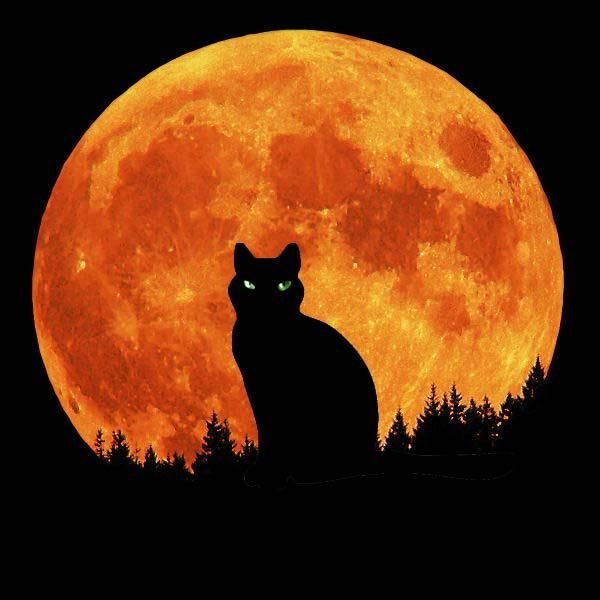 Полнолуние пятница