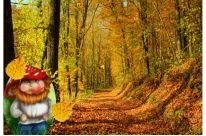 Сказочный осенний лес для детей