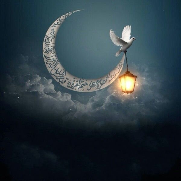 Спокойной ночи на арабском