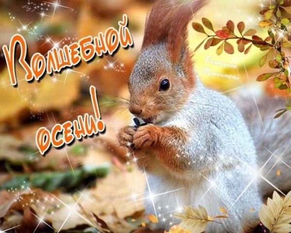 Привет! С первым днём осени