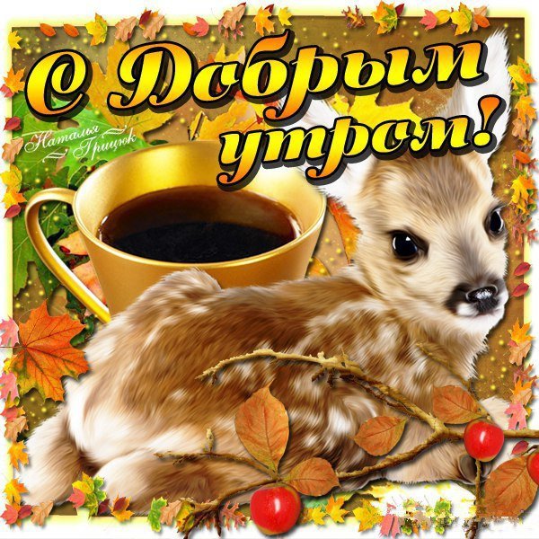 Поздравление с добрым утром с животными
