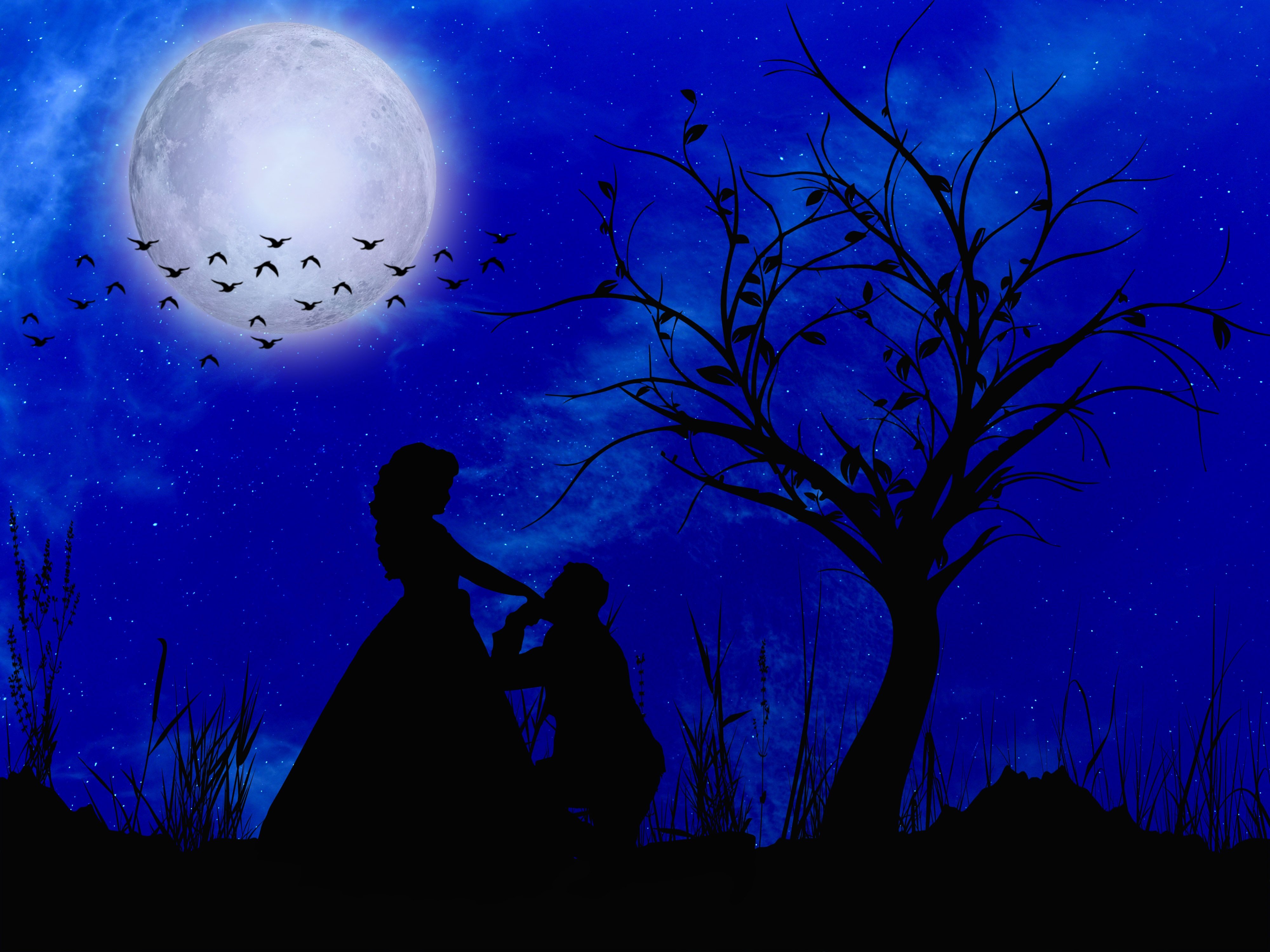 Говорили под луной. Романтика Луна фон. Луна любовь. Ночь любви. Ночь Луна романтика.