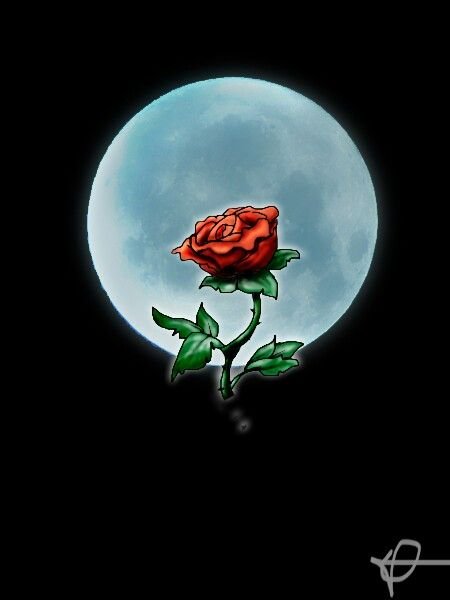 Розы под луной