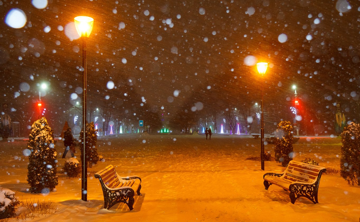 Вечер падающий снег. Снежный парк вечером. Падает снег в городе. Снегопад в парке. Сквер вечером в снегу.