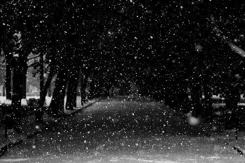 Снег падает черно-белый