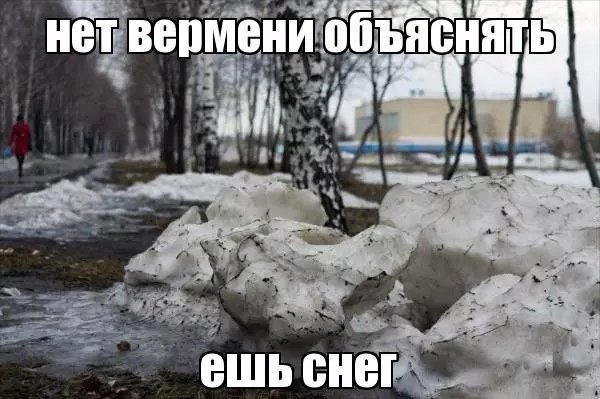 Снег весной смешные