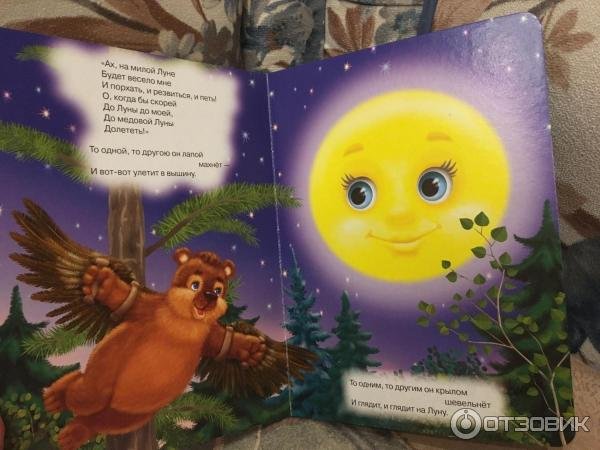 Топтыгин и Луна книга