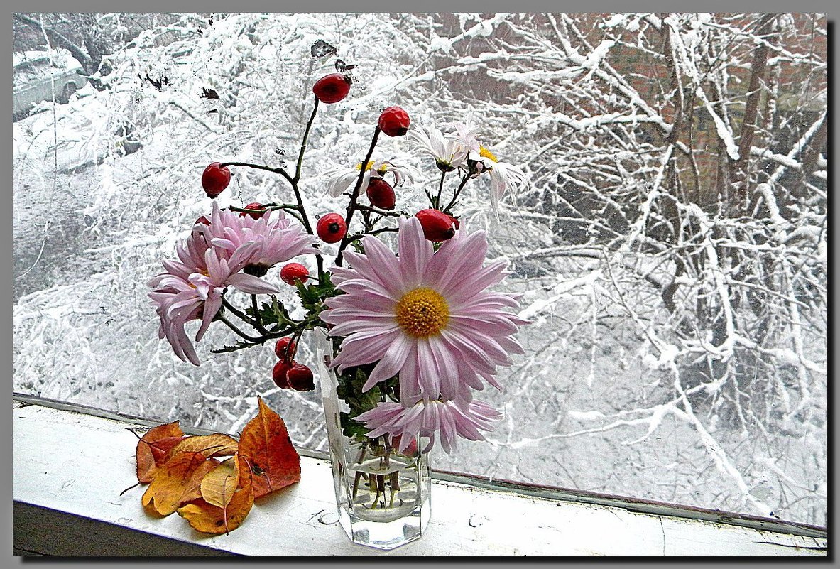 Красивая открытка со снегом. Цветы на окне зимой. Цветы на заснеженном окне. Букет на зимнем окне. Снежное утро цветы.