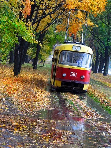 Пятигорск осень трамвай