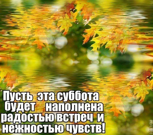 Сдобрым осеним утром субботы