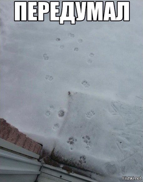 Передумал картинка