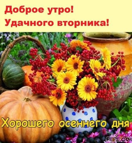 Открытки с добрым утром вторника осенние