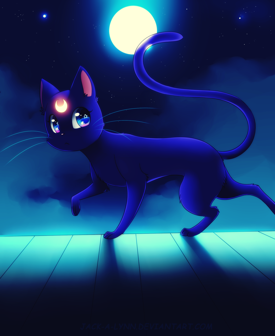 Кот мун. Черная кошка Луна из Сейлор Мун. Черная кошка из сейлормун. Сейлор Луна кошка.