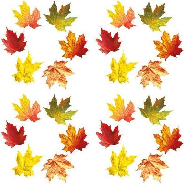 Маленькие кленовые листочки