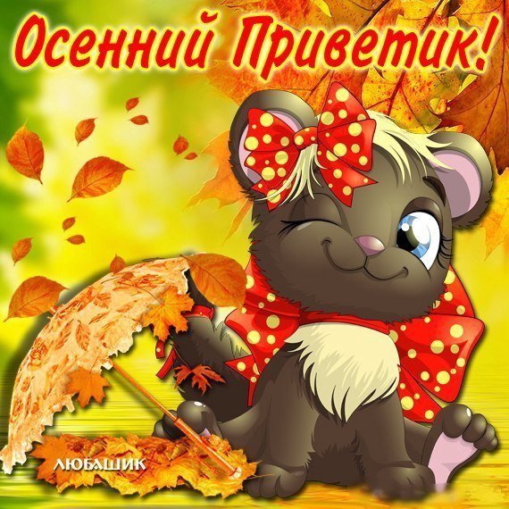 Открытки осенний привет