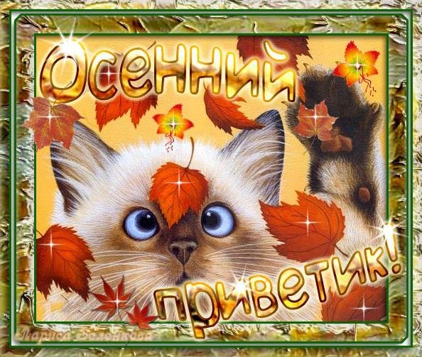 Привет начало осени