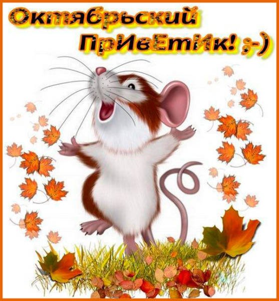 Красивый осенний привет