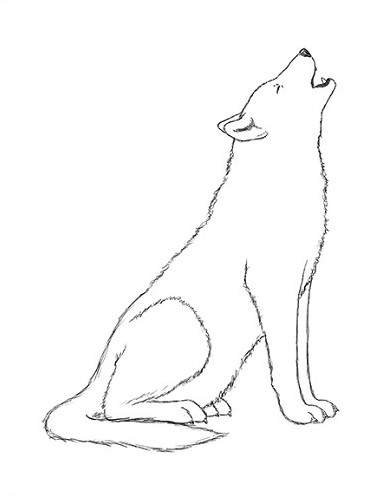 Рисунки волк воет карандашом для срисовки