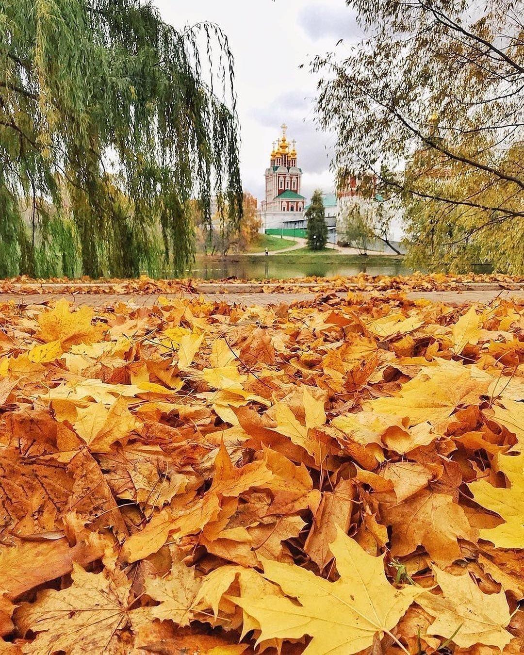 осень в москве картинки красивые