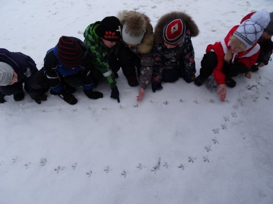 Наблюдение на прогулке зимой