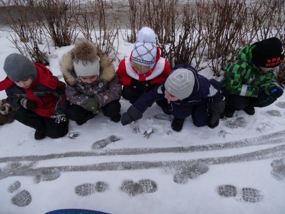 Прогулка наблюдение за снегом