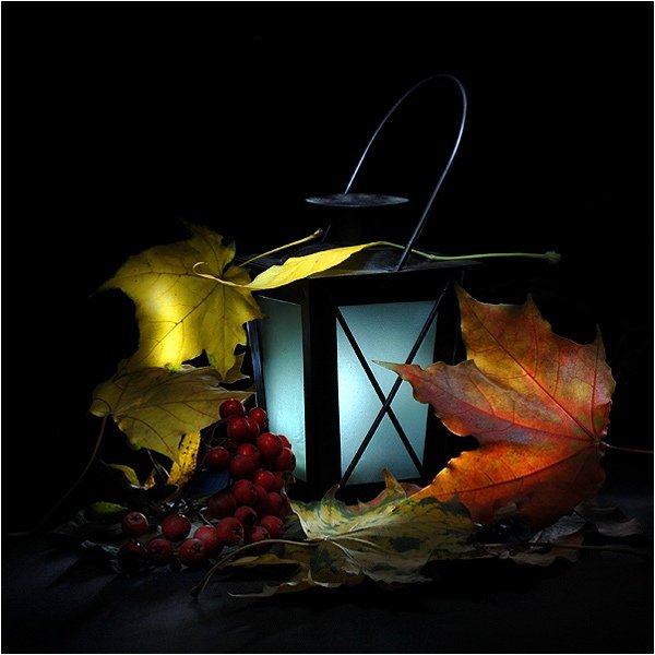 Прекрасной осенней ночи