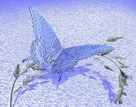 Рисунок бабочки на снегу