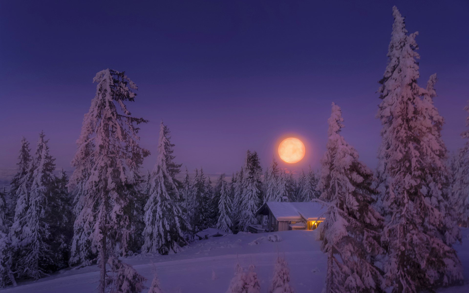 Луна зимой ночью. Зима ночь. Зимний ночной пейзаж. Вечерний зимний лес. Луна зимой.