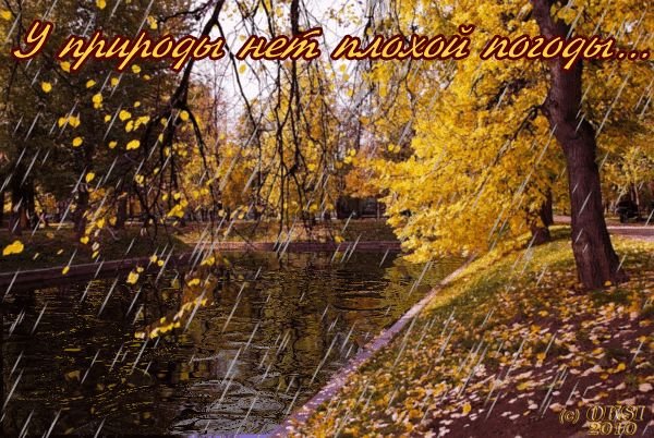 Яркого настроения в дождливый осенний день