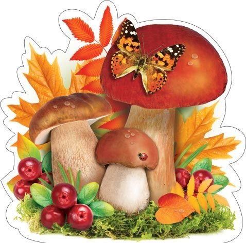 Грибы осенью для детей в детском саду