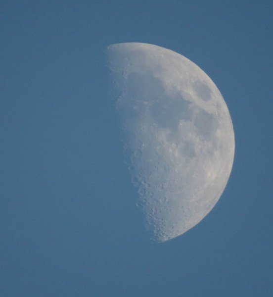 Две половинки Луны