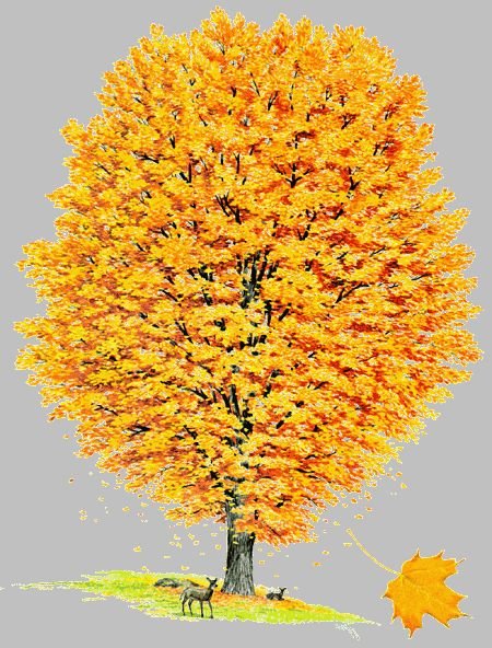 Желтое дерево для детей