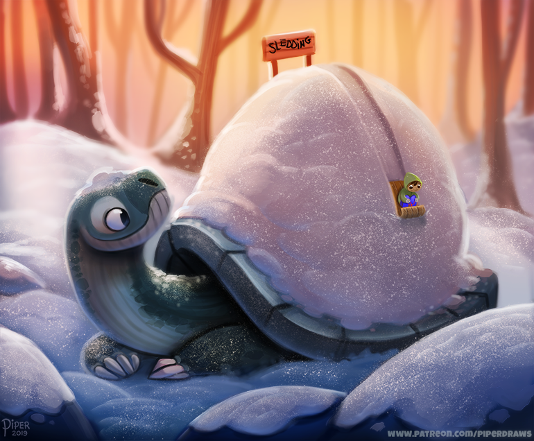Черепаха зимой