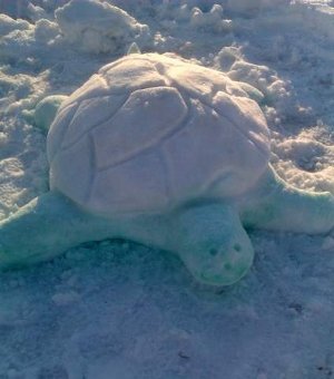 Морские фигуры из снега