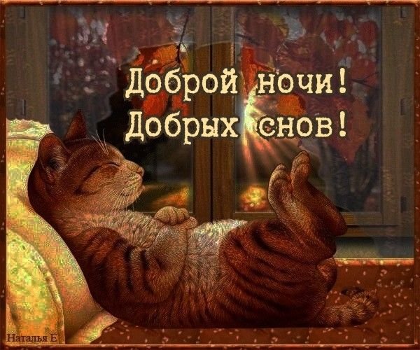 Уютного вечера и добрых снов