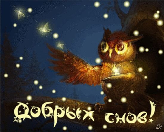 Доброй ночи Сова