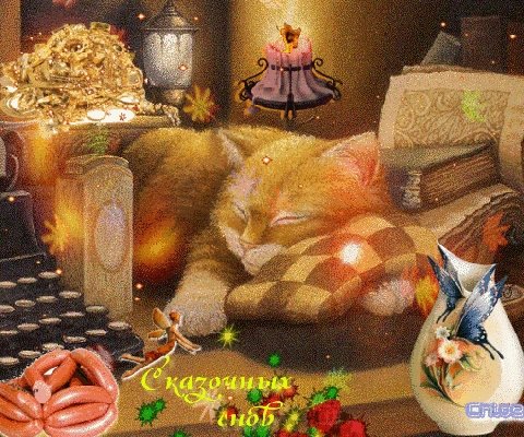 Уютного вечера и добрых снов