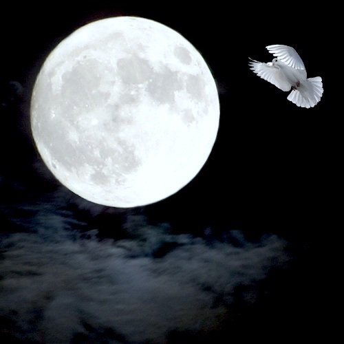 Под серебряной луной