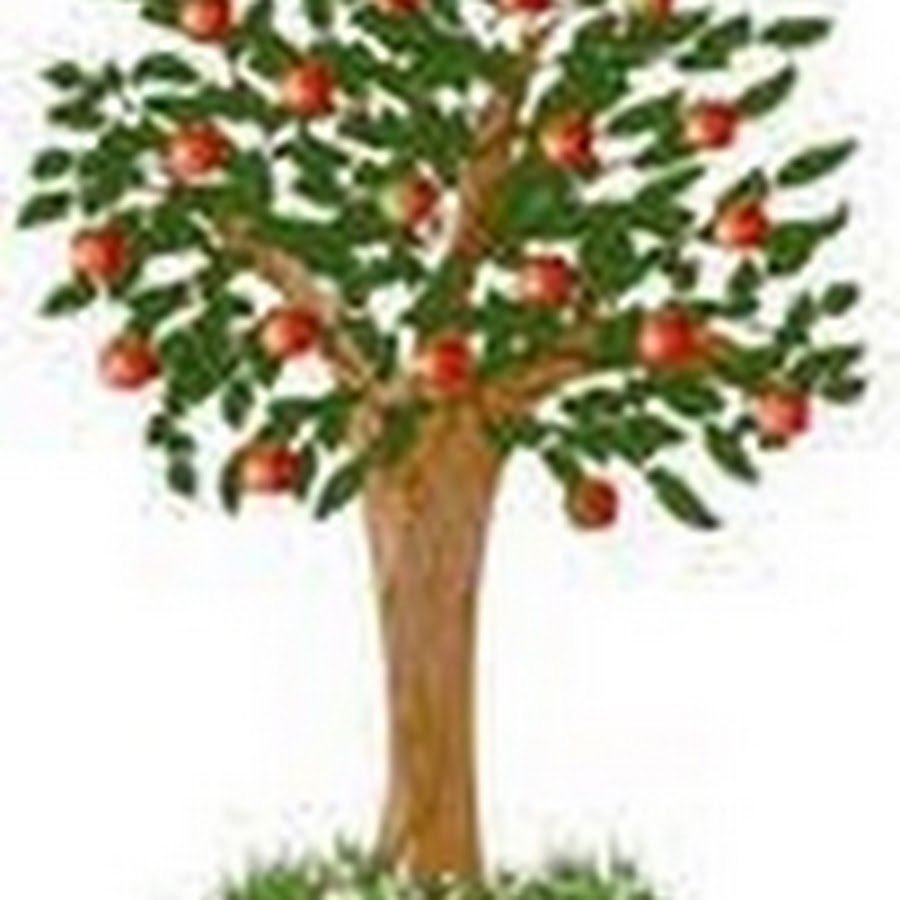 Картинка дерево яблоня