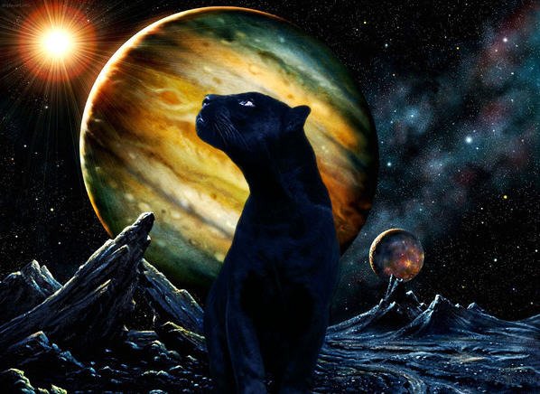 Пантера Луна