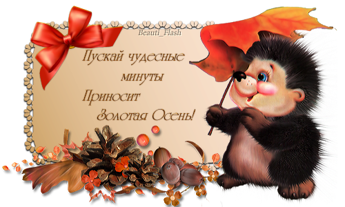 Осеннее спасибо за подарки