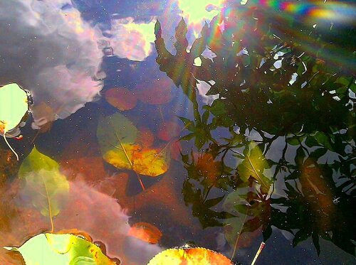 День осенних миражей 27 октября