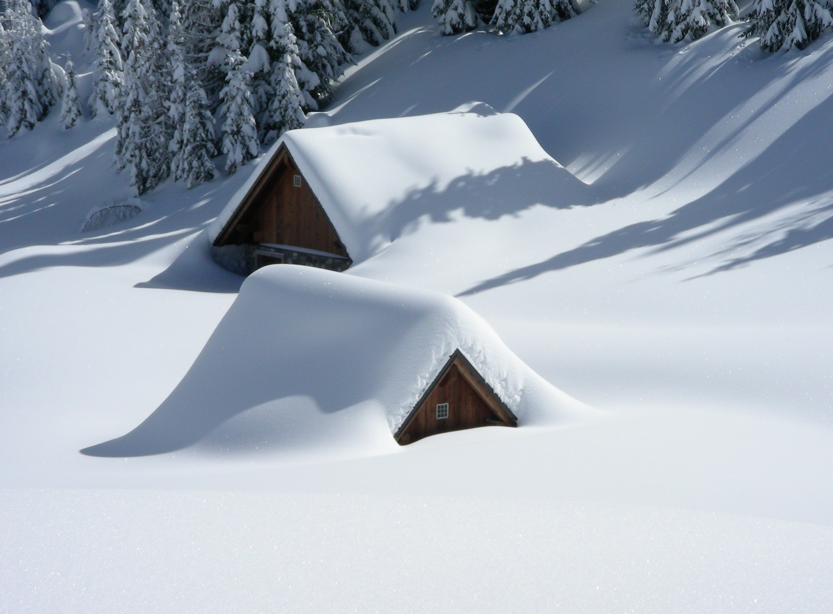 «Росгосстрах» предупредил, что ущерб дому от прошлогоднего снега возмещаться не будет
