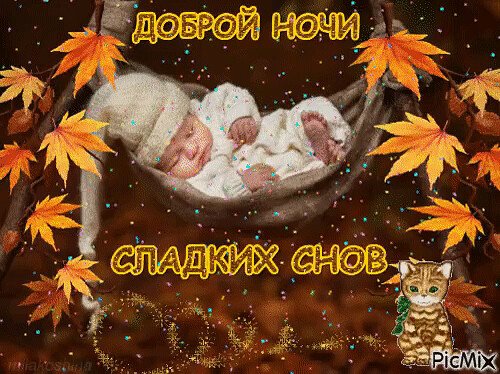 Добрых осенних снов