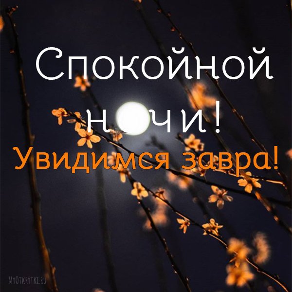 Спокойной ночи до завтра