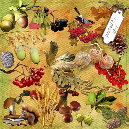 Осенние семена