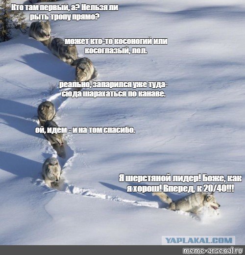 Нельзя ли рыть тропу прямо