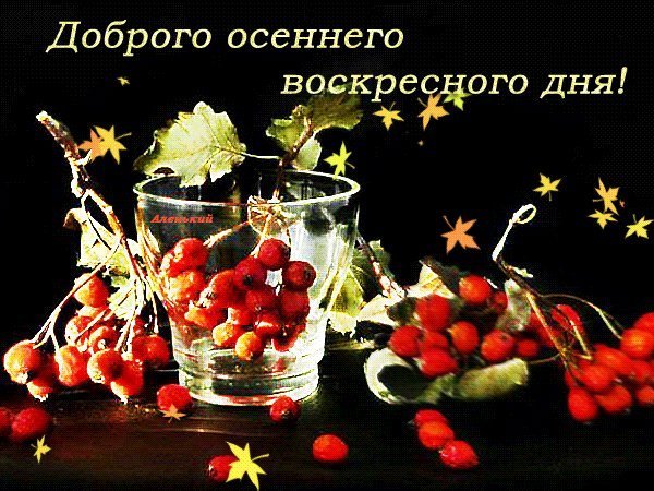 Прекрасного осеннего воскресенья